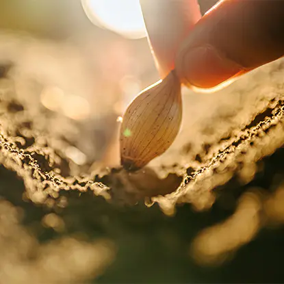 Agriculture and Forestry