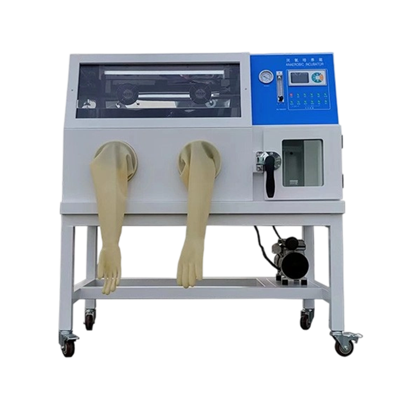 Anaerobic Incubator