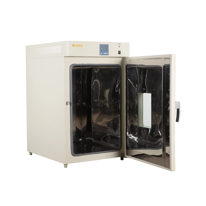 Dual-Purpose Drying And Curing Chamber