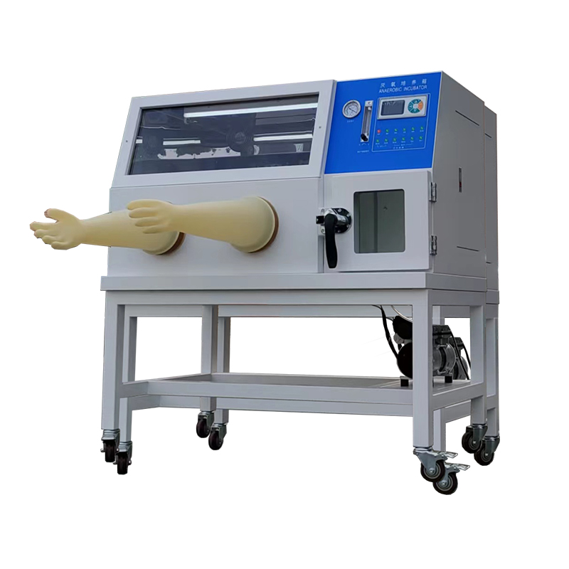 High precision Constant temperature Anaerobic Incubator