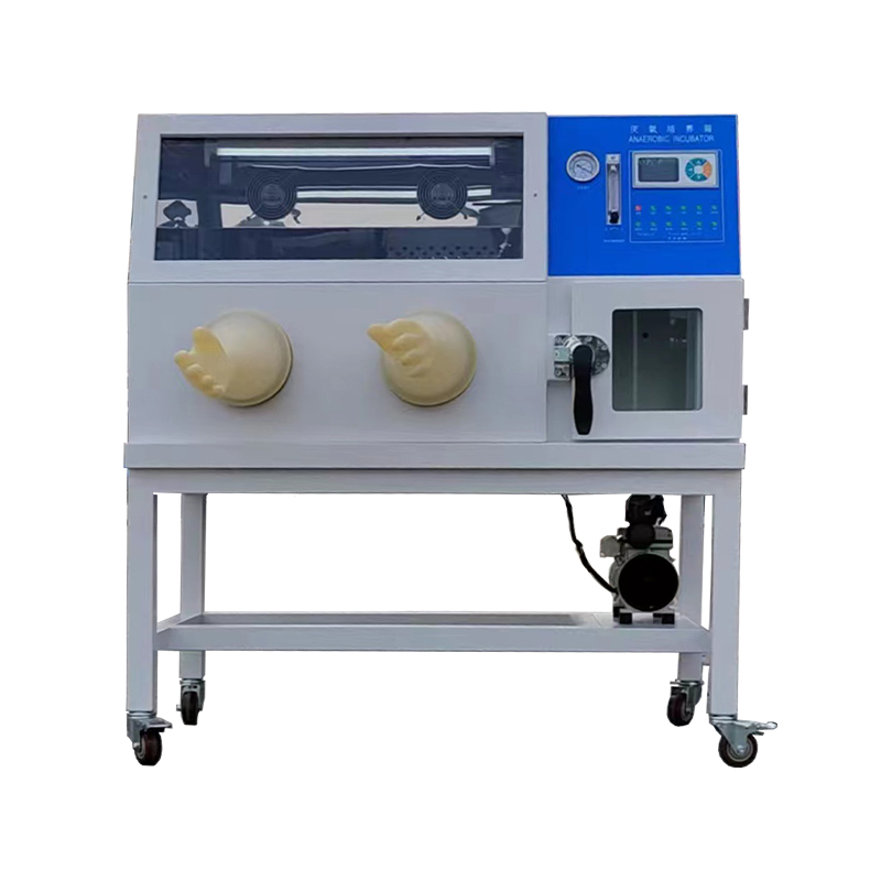 High precision Constant temperature Anaerobic Incubator